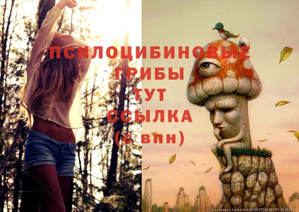 соль курить ск Алексеевка